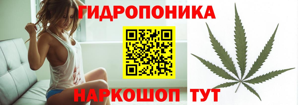 Каннабис OG Kush Пушкино